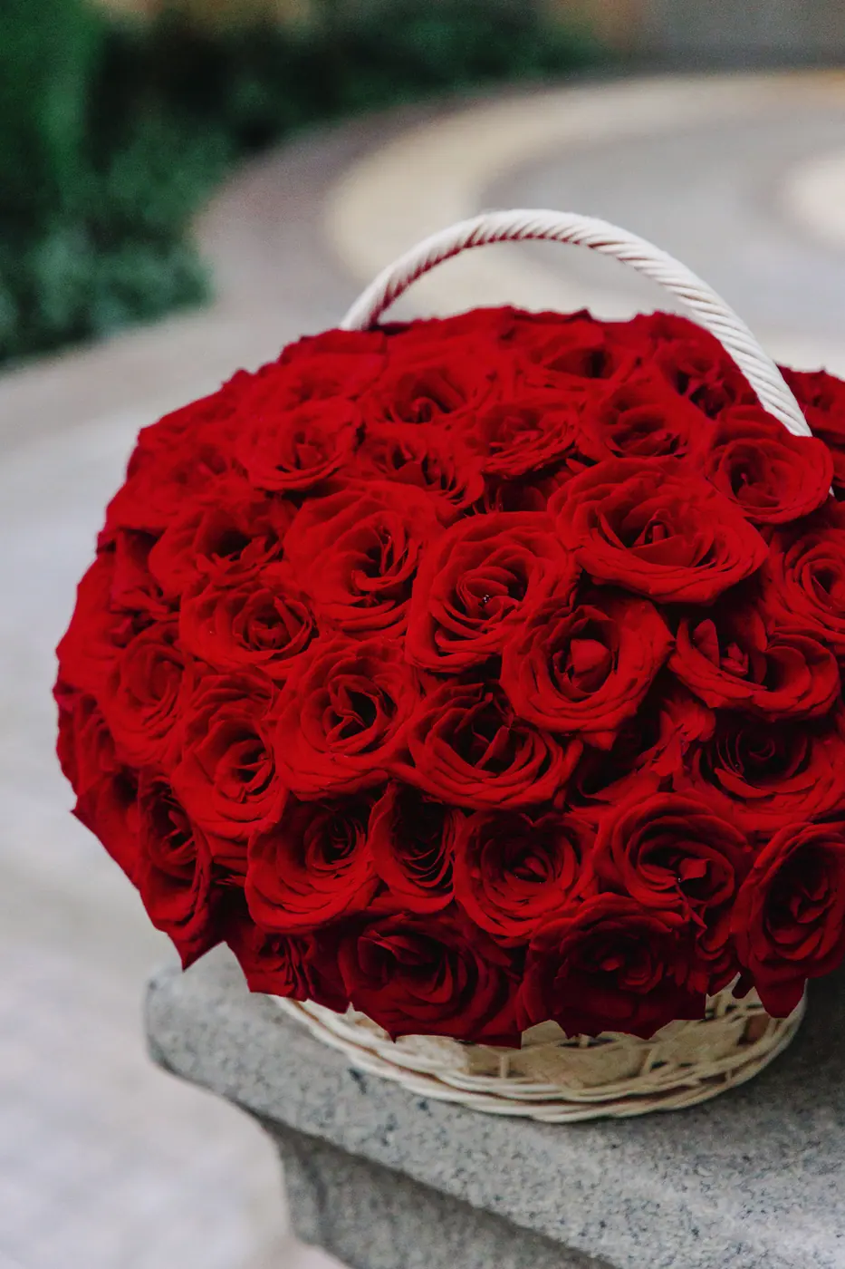 101 red roses in a basket